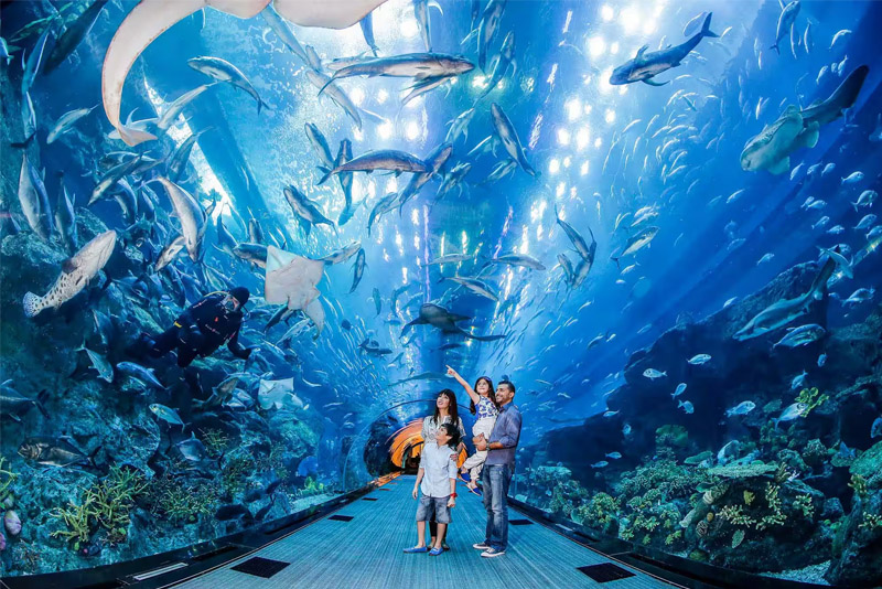 Thuỷ cung Dubai Aquarium